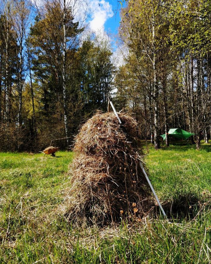 Naawa Nature Camp Korpo Kültér fotó